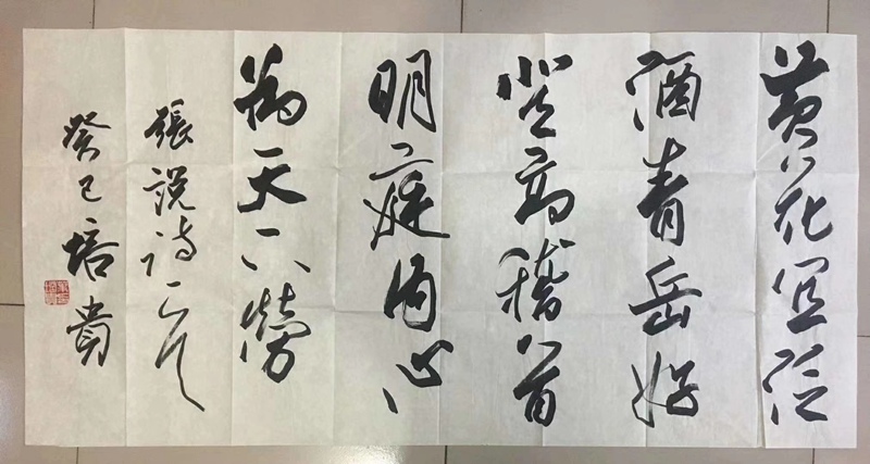 叶培贵.中国书协副主席｜作品定制插图2中国题字网