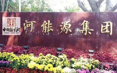著名书法家卢中南先生为能源集团公司题写牌匾缩略图中国题字网