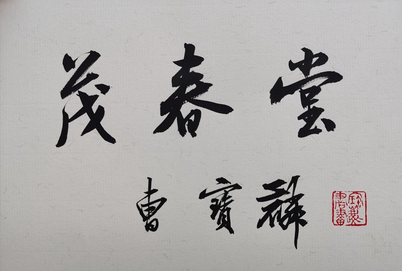 人文景观题字｜著名书法家曹宝麟为古建修缮题匾《星凤楼》插图5中国题字网