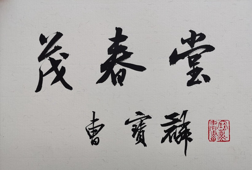 曹宝麟.著名书法家/擅长米体插图4中国题字网