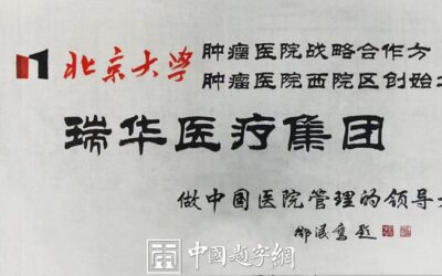 书法名家邓凌鹰为医疗机构题字《瑞华医疗集团》缩略图中国题字网