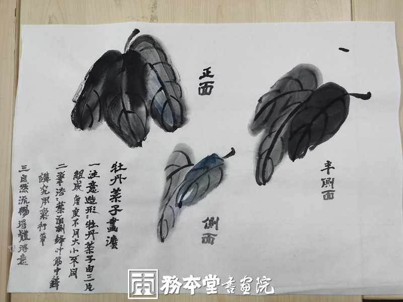 务本堂书画院受托为社区举办“花开富贵 国画牡丹”国画培训课程插图4中国题字网