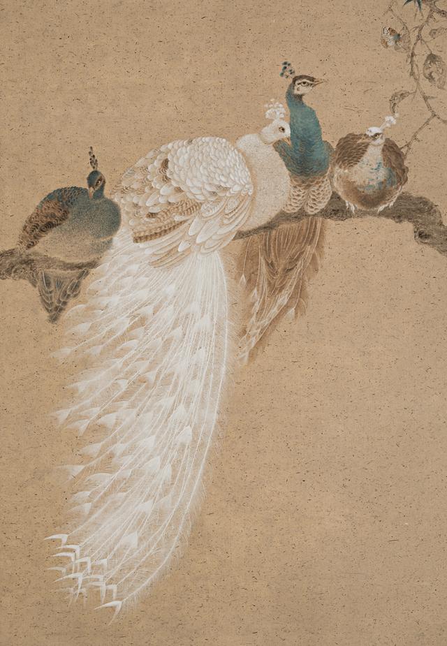 王德芳作画｜ 秀羽珍禽 浸染古风 彰显心象 ｜作品定制插图1中国题字网