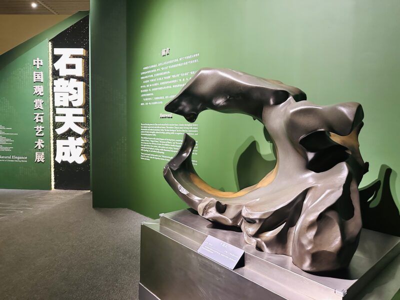 国博奇石展启幕，珍稀熊猫石惊艳亮相插图中国题字网