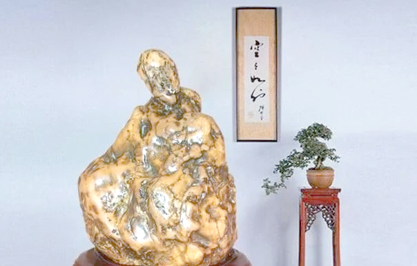 奇石收藏｜探寻独特精品，品味自然艺术插图中国题字网