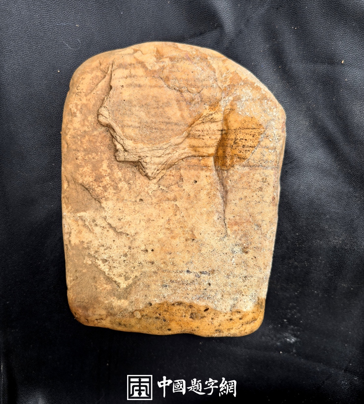金海石：用金线勾勒山海画的著名观赏石插图4中国题字网
