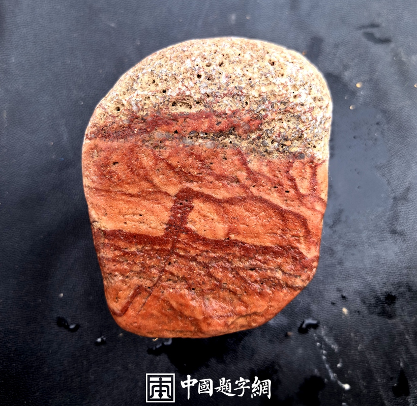 金海石：用金线勾勒山海画的著名观赏石插图5中国题字网
