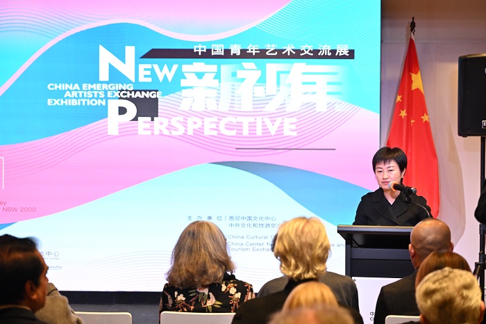 “新视角：中国青年艺术交流展”在悉尼中国文化中心成功开幕插图8中国题字网