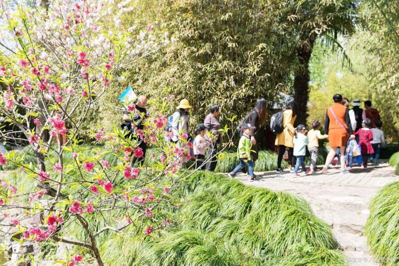 银发族旅游常踩的 3 个坑，尤其第三个缩略图中国题字网