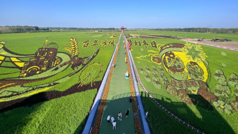 文旅新探|哈尔滨“艺术农场”：一田诗画解乡愁插图中国题字网