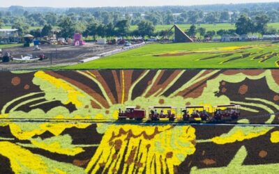 文旅新探|哈尔滨“艺术农场”：一田诗画解乡愁缩略图中国题字网