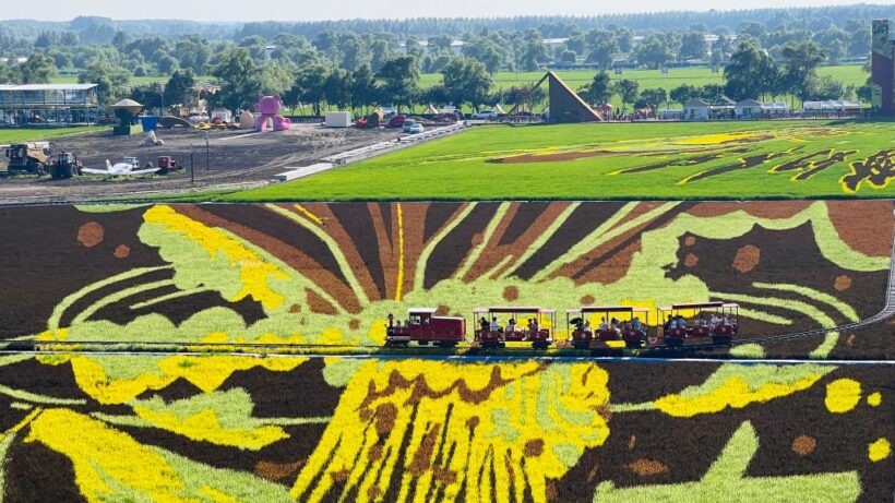 文旅新探|哈尔滨“艺术农场”：一田诗画解乡愁插图1中国题字网