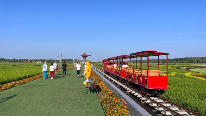 文旅新探|哈尔滨“艺术农场”：一田诗画解乡愁插图2中国题字网