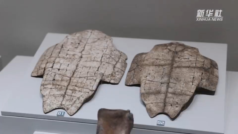 甲骨文文化探索之旅助力港澳台青年感悟悠久历史插图1中国题字网