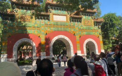 保护文物 传承文明 惠及民众——“十四五”文物事业发展取得显著成就缩略图中国题字网
