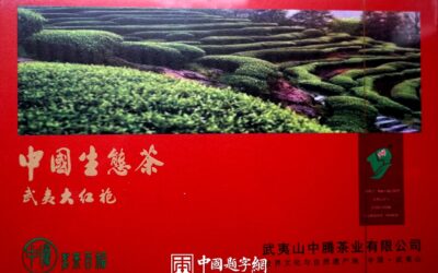 书法名家齐贞俭为茶业品牌题字《中国生态茶武夷大红袍》缩略图中国题字网