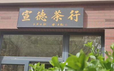 书法名家钟文龙先生为茶业品牌题字《宣德茶行》缩略图中国题字网