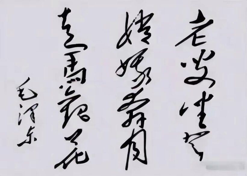 毛主席88幅题字题词集锦(值得品读)插图77中国题字网 毛主席88幅题字题词集锦(值得品读)插图77中国题字网
