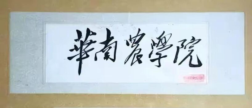 毛主席88幅题字题词集锦(值得品读)插图19中国题字网 毛主席88幅题字题词集锦(值得品读)插图19中国题字网