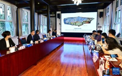 新华全媒+丨青海发现秦代石刻 定名“尕日塘秦刻石”缩略图中国题字网
