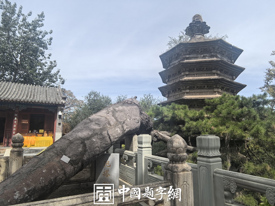 中国题字网带您游览北京戒台寺及其匾额楹联插图12中国题字网