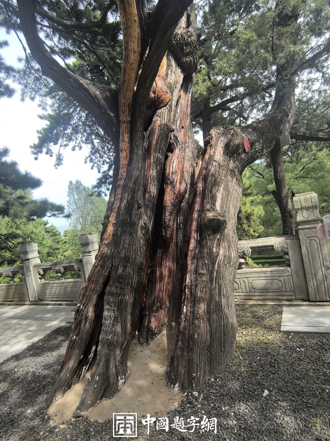 中国题字网带您游览北京戒台寺及其匾额楹联插图6中国题字网