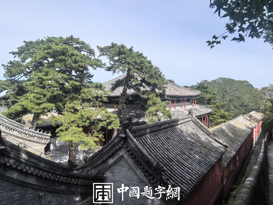 中国题字网带您游览北京戒台寺及其匾额楹联插图11中国题字网