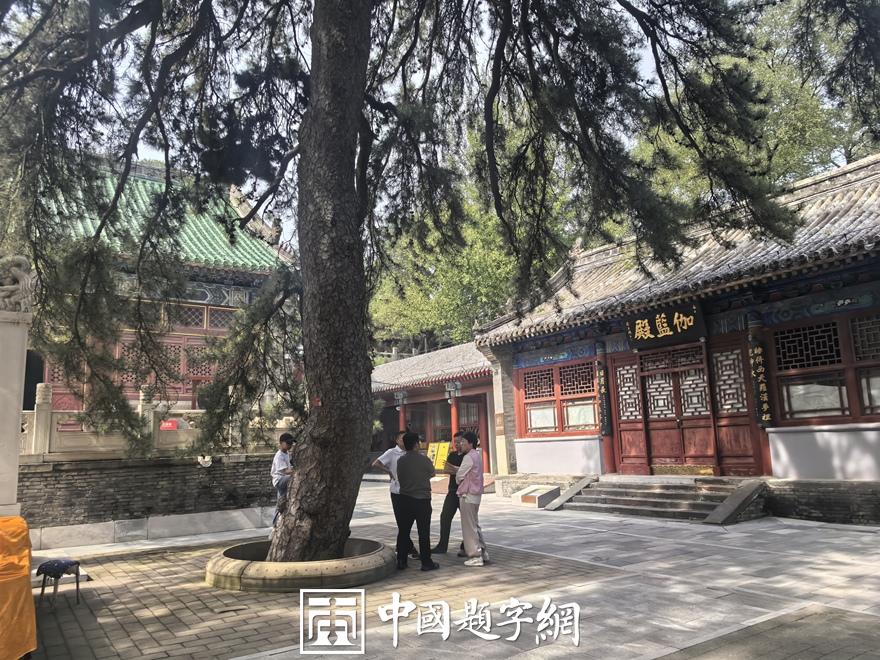 中国题字网带您游览北京戒台寺及其匾额楹联插图4中国题字网