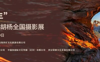 征稿启事 | 文化润疆：“一眼万年”新疆哈密伊吾胡杨全国摄影展缩略图中国题字网