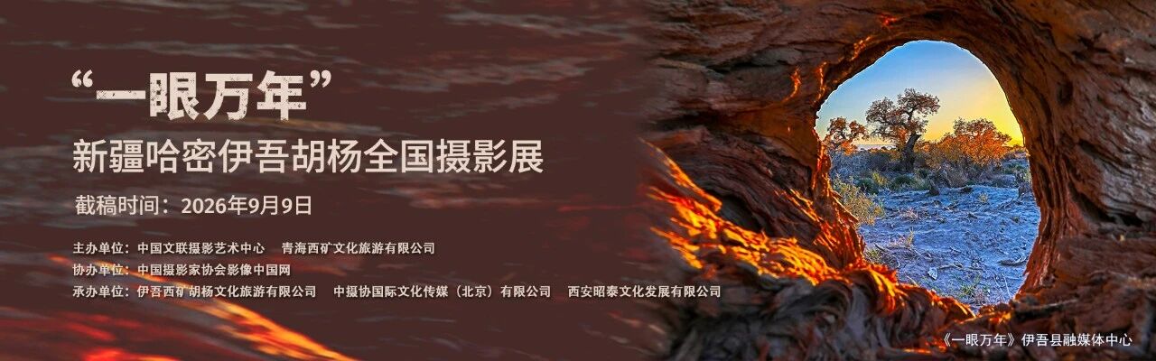 征稿启事 | 文化润疆:“一眼万年”新疆哈密伊吾胡杨全国摄影展插图中国题字网 征稿启事 | 文化润疆:“一眼万年”新疆哈密伊吾胡杨全国摄影展插图中国题字网