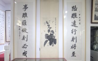书画视频｜ 中国书法家协会原主席苏士澍作品鉴赏收藏缩略图中国题字网