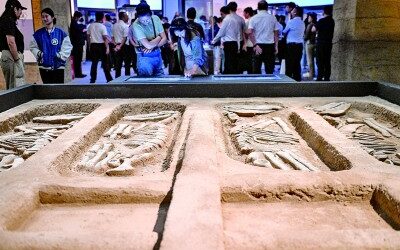 守护好周代都邑城址文明缩略图中国题字网
