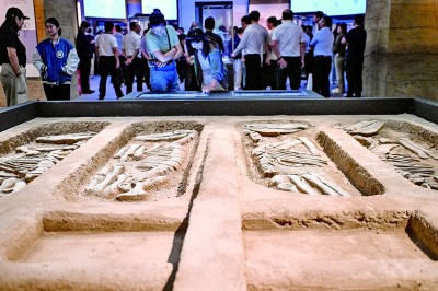 守护好周代都邑城址文明插图2中国题字网
