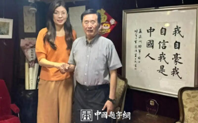 郑丽文当选国民党主席,意外带火卢中南书法!缩略图中国题字网