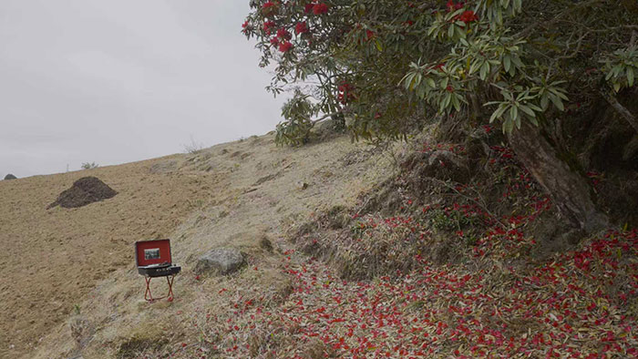 探索新的生命与感官交流模式｜第 15 届上海双年展开幕插图9中国题字网