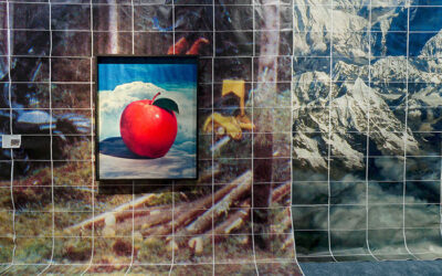 探索新的生命与感官交流模式｜第 15 届上海双年展开幕缩略图中国题字网