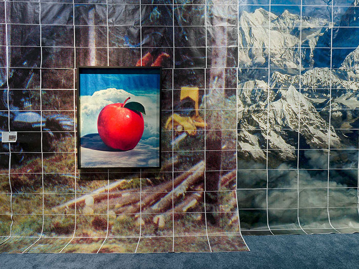 探索新的生命与感官交流模式｜第 15 届上海双年展开幕插图1中国题字网