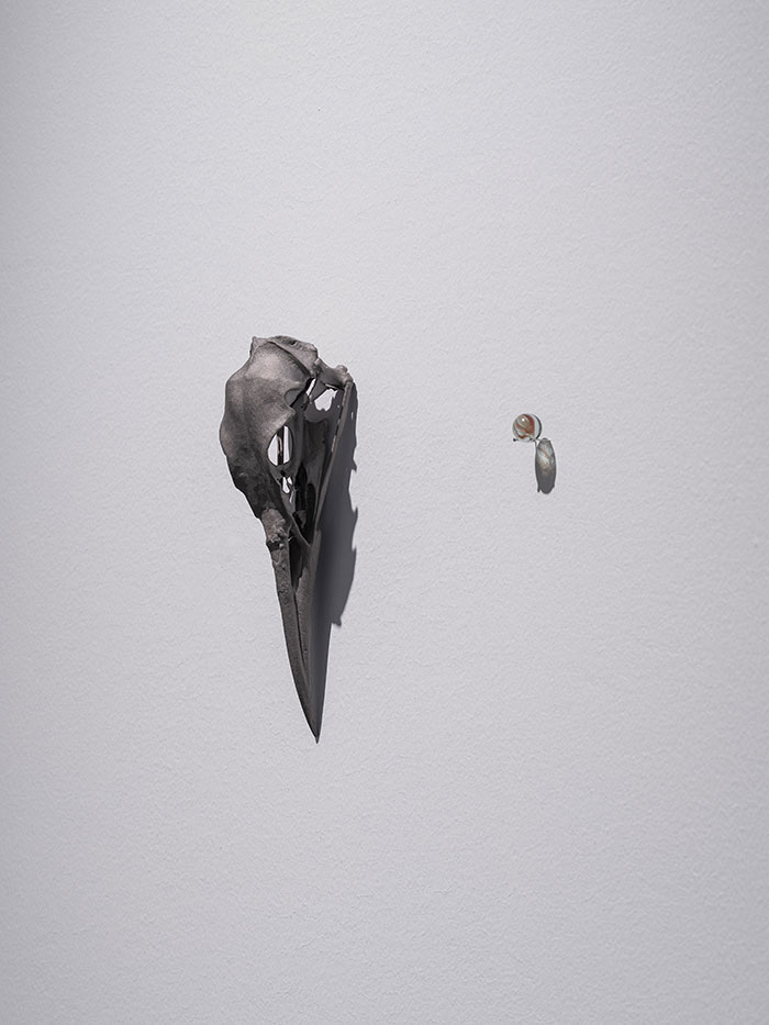 探索新的生命与感官交流模式｜第 15 届上海双年展开幕插图7中国题字网