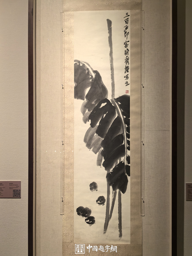 三家门下转轮来|齐白石与徐渭八大山人吴昌硕书画展插图4中国题字网 三家门下转轮来|齐白石与徐渭八大山人吴昌硕书画展插图4中国题字网