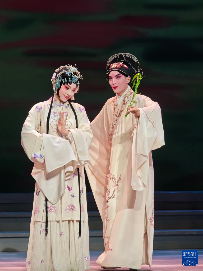 校园青春版《牡丹亭》在台首演 再掀昆曲热潮插图1中国题字网