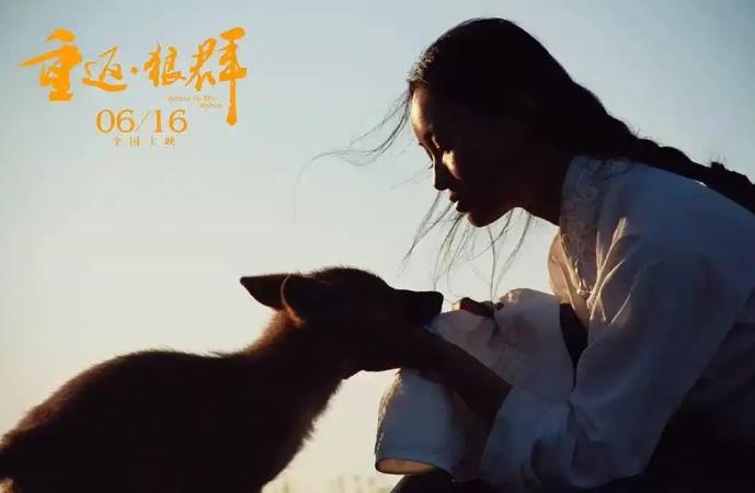 如何“看见”一匹狼？——纪录片《重返·狼群》的生命伦理叙事插图中国题字网