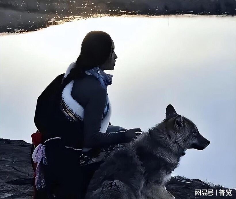 千万人泪目,《重返狼群》九年翻红为何再掀热潮?插图中国题字网 千万人泪目,《重返狼群》九年翻红为何再掀热潮?插图中国题字网