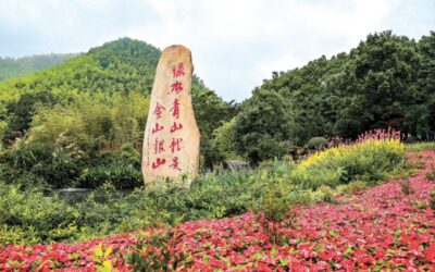 题字故事｜“绿水青山就是金山银山”理念  来余村看“两山” 常看常新缩略图中国题字网