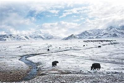 绿水青山就是金山银山｜山河入画 万物共生（在中国·看中国）插图7中国题字网