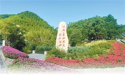 绿水青山就是金山银山｜山河入画 万物共生（在中国·看中国）插图中国题字网