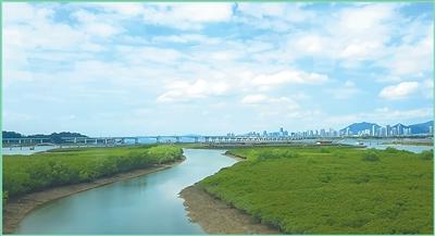 绿水青山就是金山银山｜山河入画 万物共生（在中国·看中国）插图1中国题字网