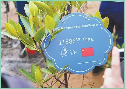 绿水青山就是金山银山｜山河入画 万物共生（在中国·看中国）插图3中国题字网