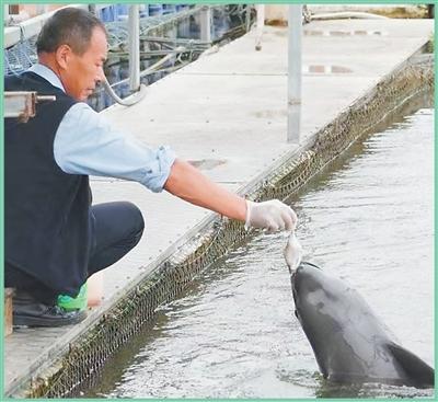 绿水青山就是金山银山｜山河入画 万物共生（在中国·看中国）插图5中国题字网