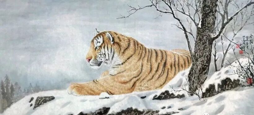 冯大中画虎“虎虎生威”｜中国传统国画作品大观插图11中国题字网