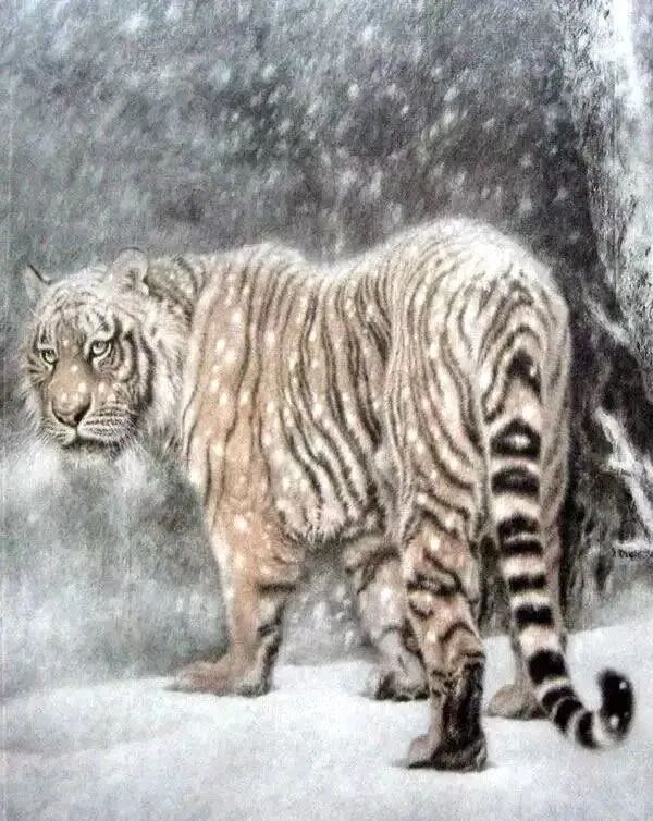 冯大中画虎“虎虎生威”｜中国传统国画作品大观插图6中国题字网